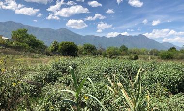 Terreno en Renta en Valle de los Álamos