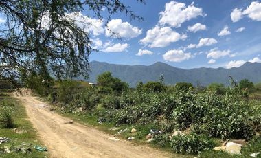 Terreno en Renta en Valle de los Álamos