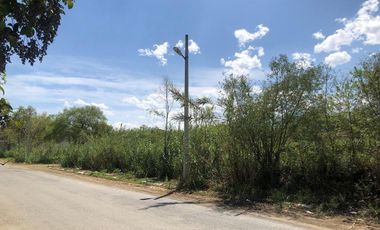 Terreno en Renta en Valle de los Álamos