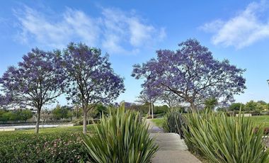 Depa RENTA El Refugio a unos pasos del Lago y Plazas comerciales