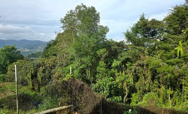 Casa-Finca en Arriendo Ubicado en Guarne Codigo 2152