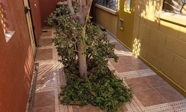 Casa en Arriendo en Amplia casa en arriendo en Villa Iglesia Punta Negra