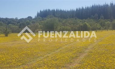 Sitio en Venta en Parral / Machicura