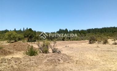 Sitio en Venta en Parral / Machicura