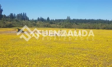 Sitio en Venta en Parral / Machicura