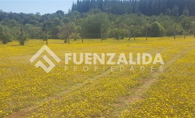 Parcela en Venta en Parral / Machicura