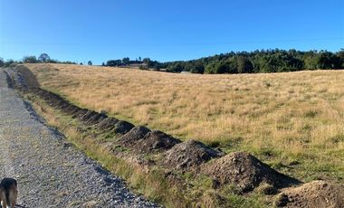 Parcela en Venta en Sector Rio Chico