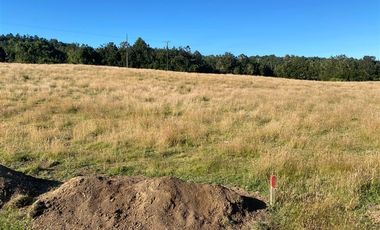 Parcela en Venta en Sector Rio Chico