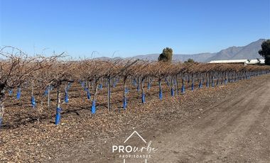 Sitio en Venta en Ruta 5 norte, km 40