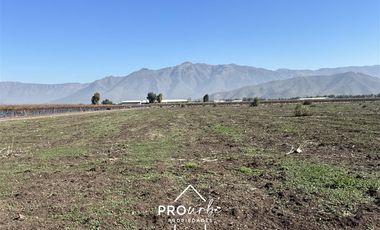 Terreno Construccion  en Venta en Ruta 5 norte, km 40