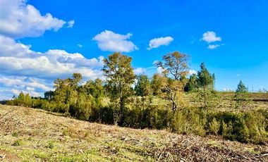 Terreno Construccion  en Venta en Ruta S-258 Temuco