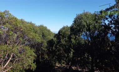 Parcela en Venta en Punta Estaquilla condominio con bajada a la playa