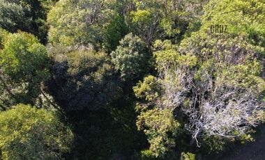 Parcela en Venta en Punta Estaquilla condominio con bajada a la playa