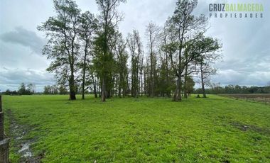 Agrícola en Venta en 169 hectareas a 1 km de ruta T-851, 15 minutos de Rio Bueno.