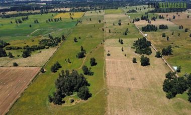 Agrícola en Venta en 169 hectareas a 1 km de ruta T-851, 15 minutos de Rio Bueno.