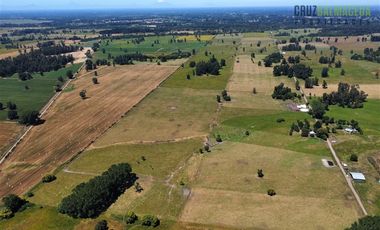 Agrícola en Venta en 169 hectareas a 1 km de ruta T-851, 15 minutos de Rio Bueno.