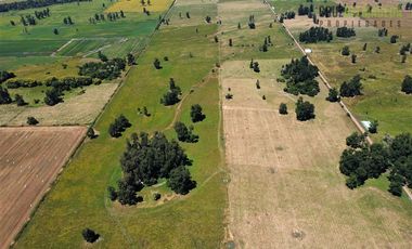 Agrícola en Venta en 169 hectareas a 1 km de ruta T-851, 15 minutos de Rio Bueno.