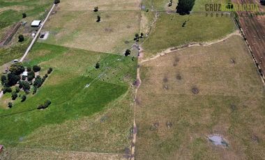 Agrícola en Venta en 169 hectareas a 1 km de ruta T-851, 15 minutos de Rio Bueno.