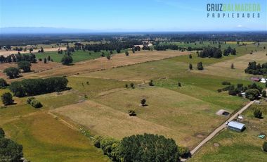 Agrícola en Venta en 169 hectareas a 1 km de ruta T-851, 15 minutos de Rio Bueno.