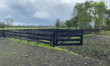 Agrícola en Venta en 169 hectareas a 1 km de ruta T-851, 15 minutos de Rio Bueno.