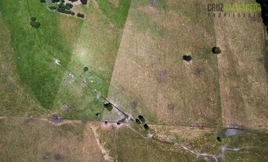 Agrícola en Venta en 169 hectareas a 1 km de ruta T-851, 15 minutos de Rio Bueno.