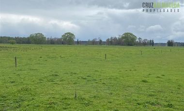 Agrícola en Venta en 169 hectareas a 1 km de ruta T-851, 15 minutos de Rio Bueno.