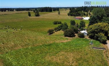 Agrícola en Venta en 169 hectareas a 1 km de ruta T-851, 15 minutos de Rio Bueno.