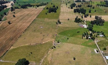 Agrícola en Venta en 169 hectareas a 1 km de ruta T-851, 15 minutos de Rio Bueno.