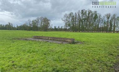 Agrícola en Venta en 169 hectareas a 1 km de ruta T-851, 15 minutos de Rio Bueno.