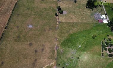 Agrícola en Venta en 169 hectareas a 1 km de ruta T-851, 15 minutos de Rio Bueno.