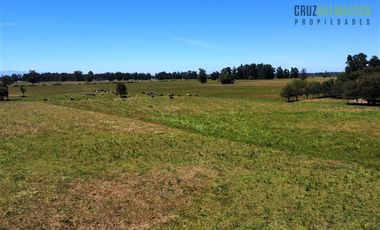 Agrícola en Venta en 169 hectareas a 1 km de ruta T-851, 15 minutos de Rio Bueno.