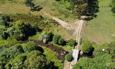 Agrícola en Venta en 68 hectáreas a 3,5 kms de ruta asfaltada