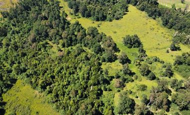 Agrícola en Venta en 68 hectáreas a 3,5 kms de ruta asfaltada