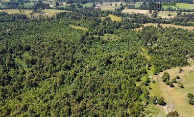 Agrícola en Venta en 68 hectáreas a 3,5 kms de ruta asfaltada