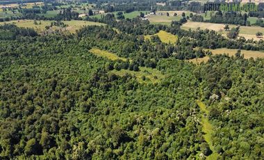 Agrícola en Venta en 68 hectáreas a 3,5 kms de ruta asfaltada