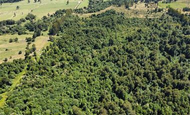 Agrícola en Venta en 68 hectáreas a 3,5 kms de ruta asfaltada