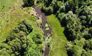 Agrícola en Venta en 68 hectáreas a 3,5 kms de ruta asfaltada