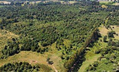 Agrícola en Venta en 68 hectáreas a 3,5 kms de ruta asfaltada