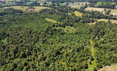 Agrícola en Venta en 68 hectáreas a 3,5 kms de ruta asfaltada