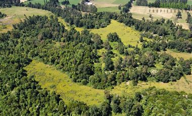 Agrícola en Venta en 68 hectáreas a 3,5 kms de ruta asfaltada