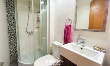 Departamento en Venta en Luis Thayer Ojeda , av. Providencia