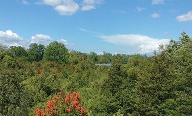 Parcela en Venta en Villarrica