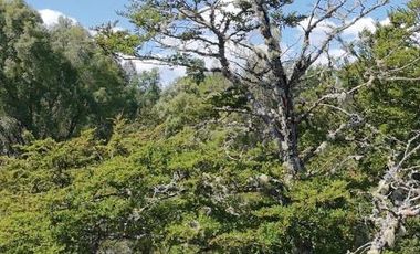 Parcela en Venta en Villarrica