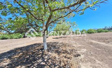 Parcela en Venta en Lonque Sur carampangue