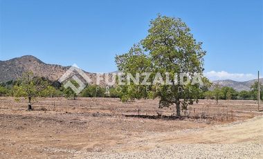 Parcela en Venta en Lonque Sur carampangue