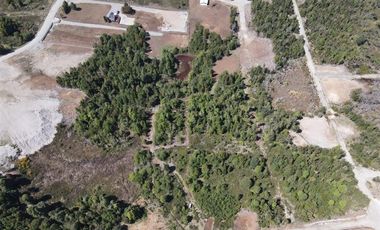 Parcela en Venta en Sector Rio Chico Ruta V 625 Puerto Montt