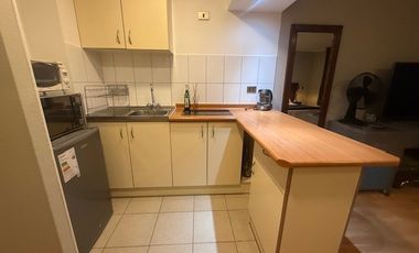 Departamento en Arriendo en Santa Isabel 199, Santiago