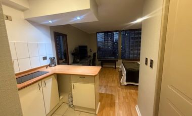 Departamento en Arriendo en Santa Isabel 199, Santiago