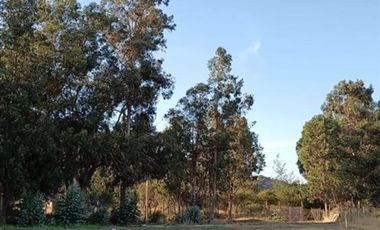 Terreno Construccion  en Venta en HACIENDA LOS LINGUES MIRAVALLE