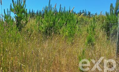 Sitio en Venta en Vende sitio 121 Pichilemu 5000m2